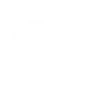 Carline Coaching